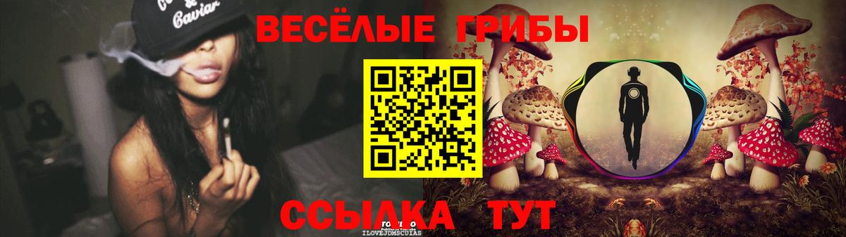 Псилоцибиновые грибы Cubensis  Вход с VPN  как найти наркотики  Псилоцибиновые грибы Psilocybe  Сердобск 